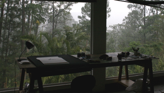 the rain